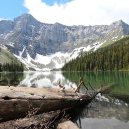 This is a description text for this gallery